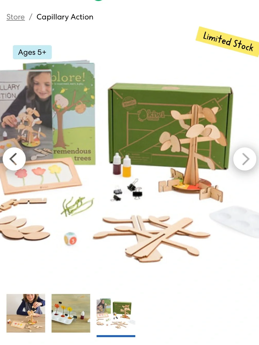 KiwiCo Kiwi Crate Science of Trees STEM Kit Capillary Action NEW